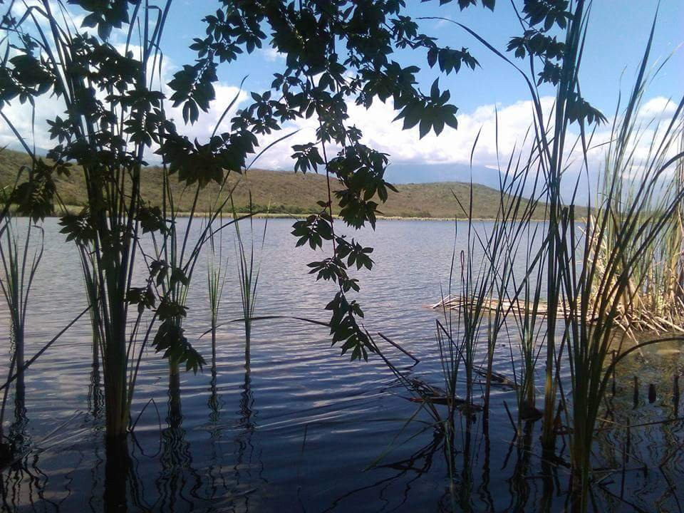 Laguna Burlan景点图片