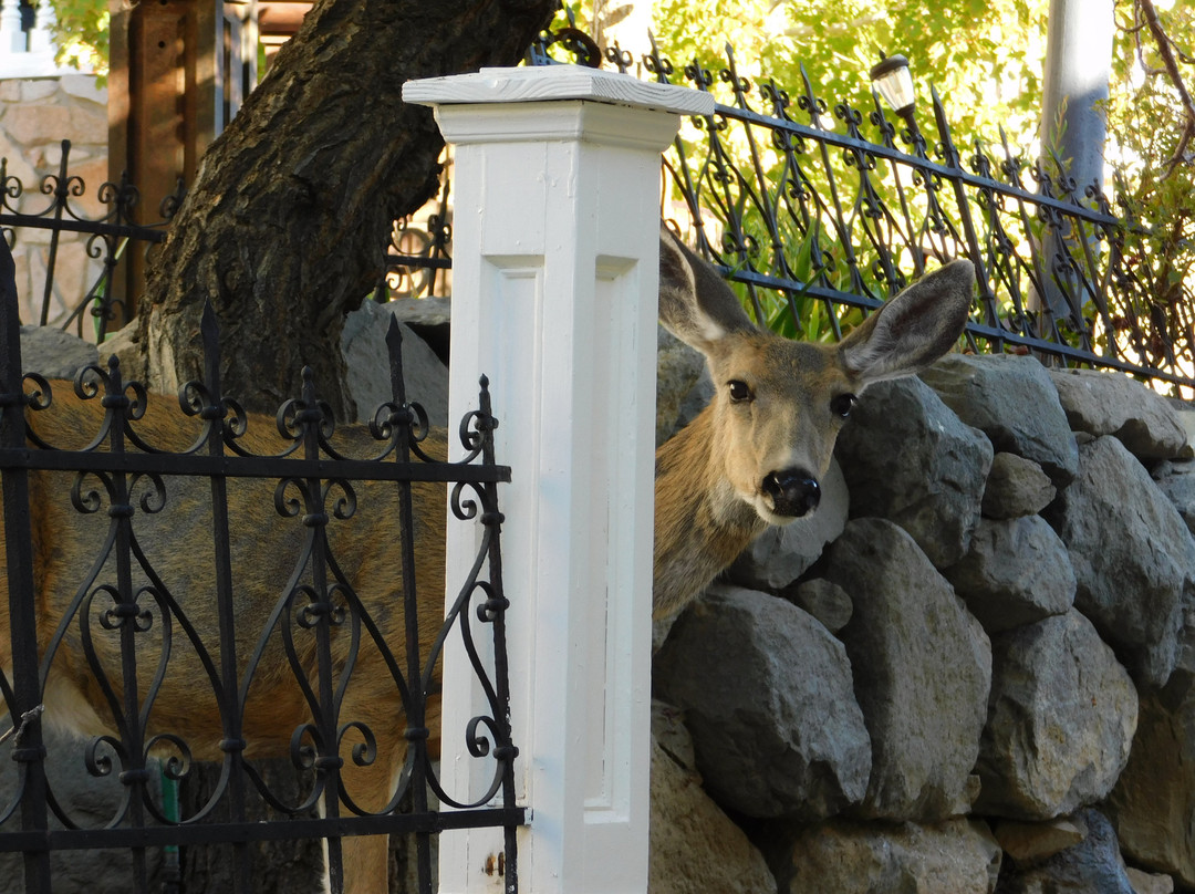 Tahoe House Hotel主图