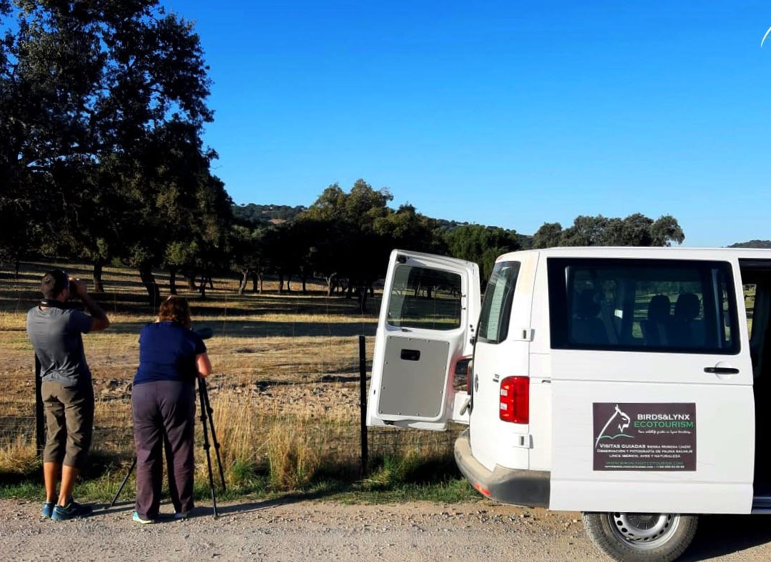 Parque Natural Sierra de Andujar景点图片