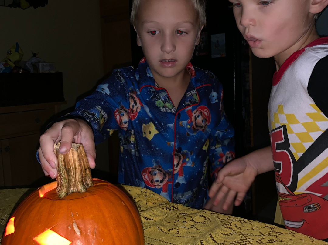 Jeter Farm-罗阿诺克必去景点