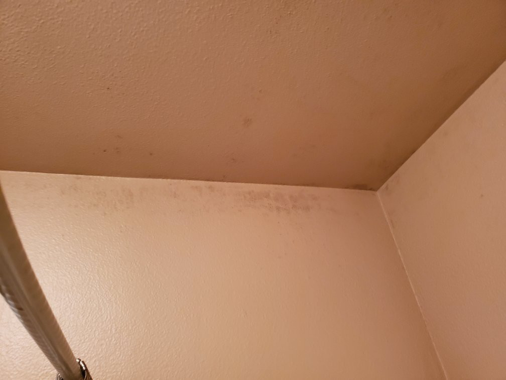 Ravenwood Motel主图