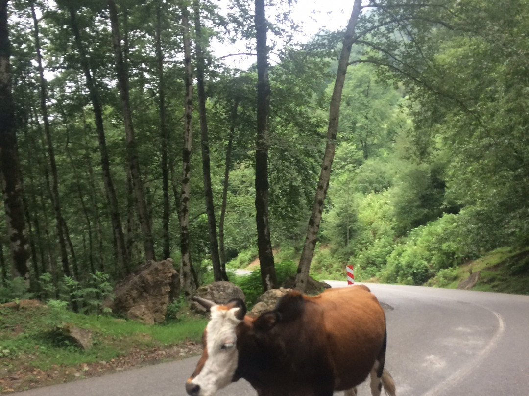 Khalkal - Asalem Road景点图片