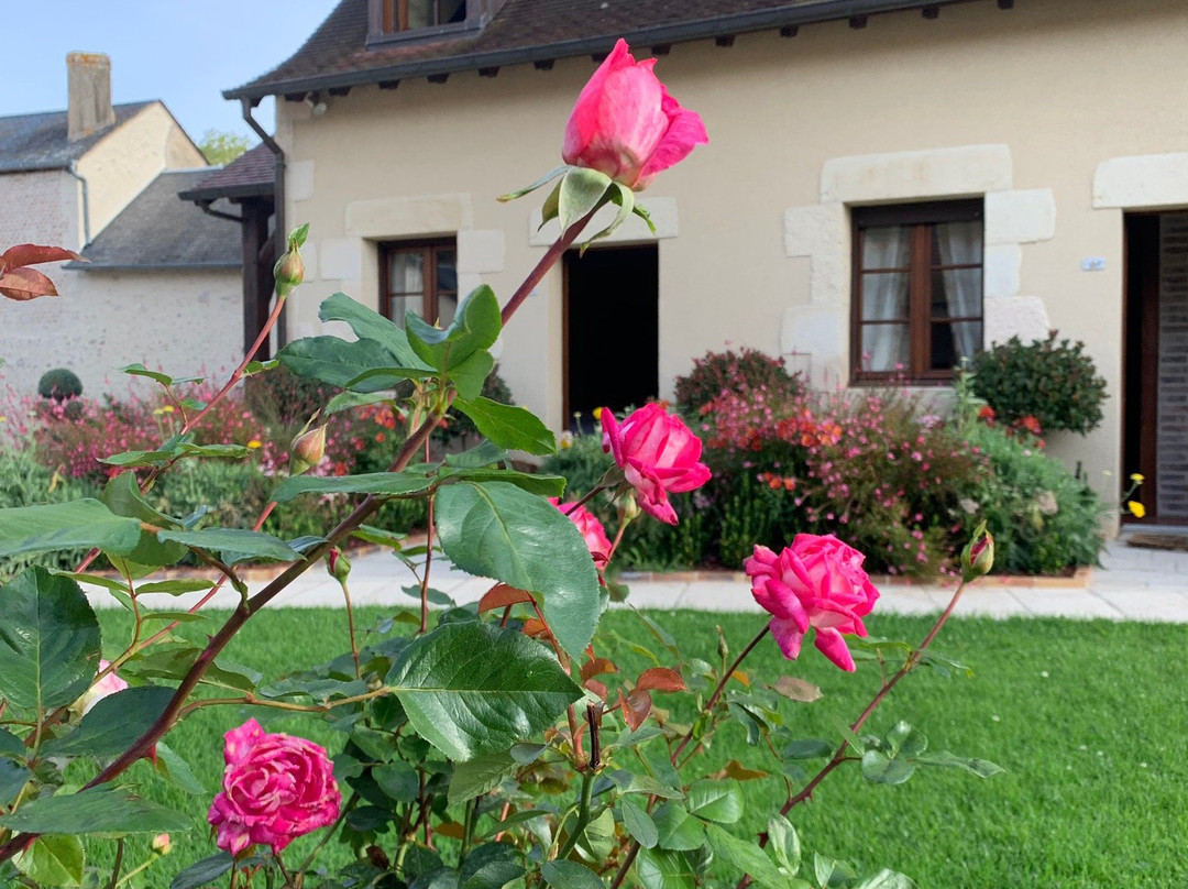 La Chaumiere Hotel & Restaurant主图