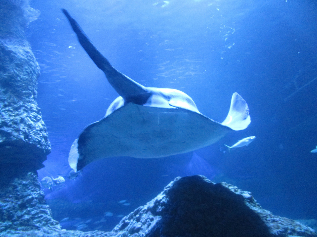 Nautica Residences Hillarys主图