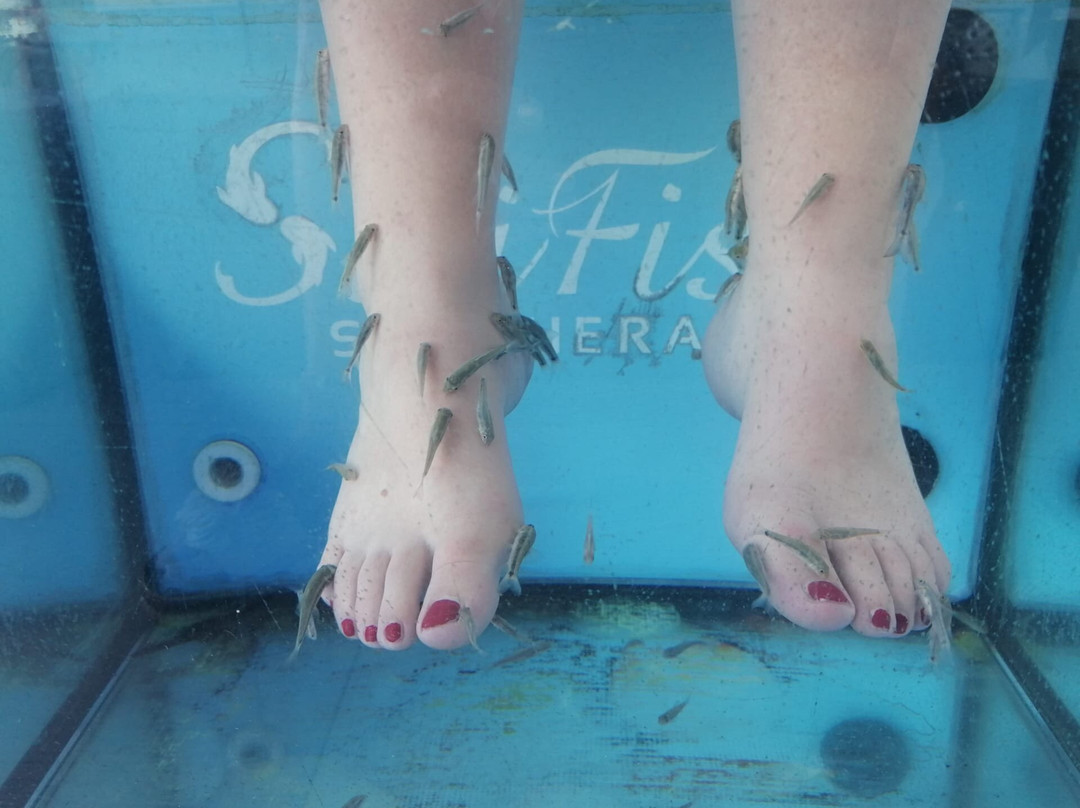 Doctor Fish Spa Therapy Sissi-Sissi必去景点