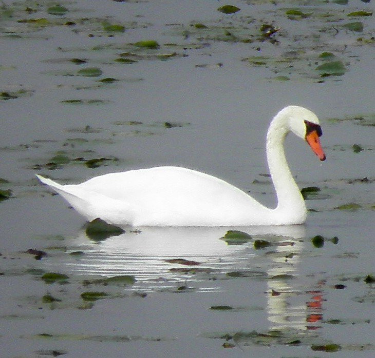 Holiday Beach Conservation Area-阿默斯特堡必去景点