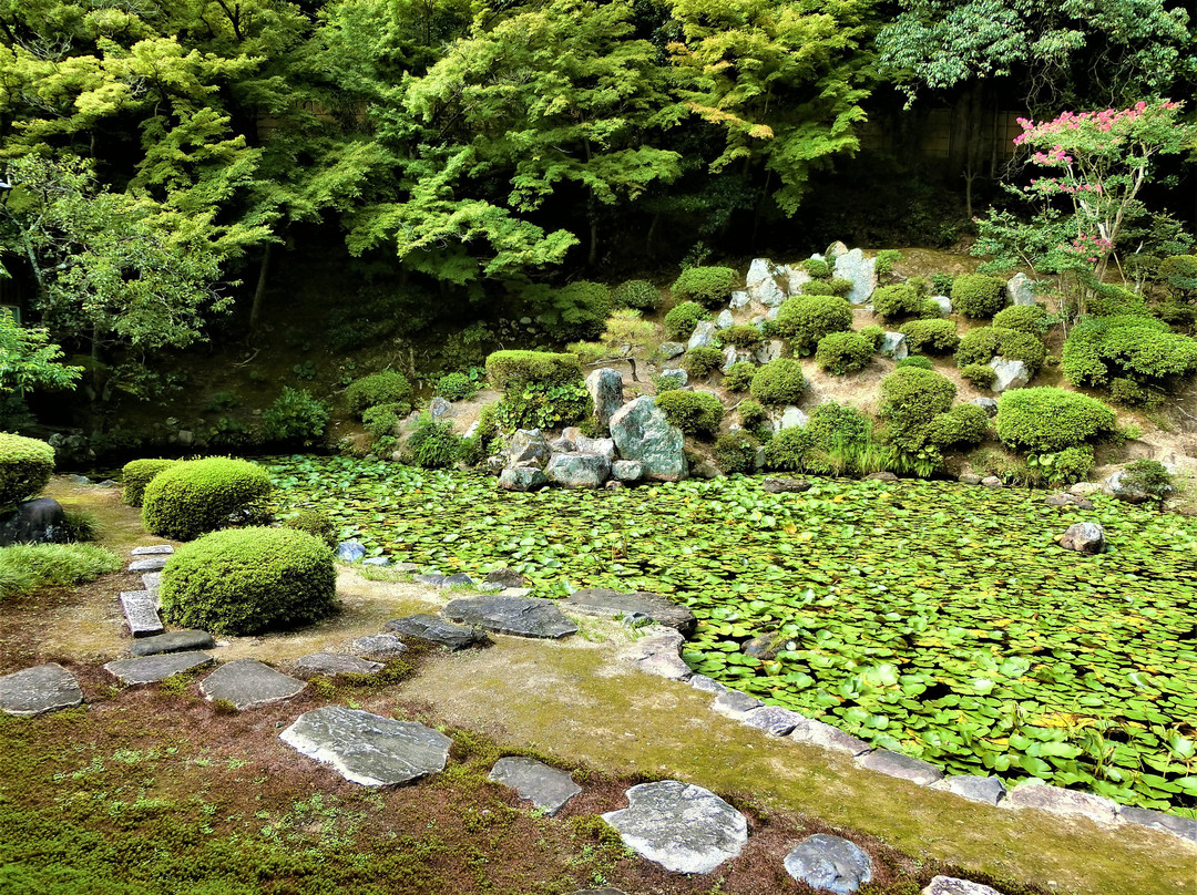 Kozen-ji Temple-鸟取市必去景点