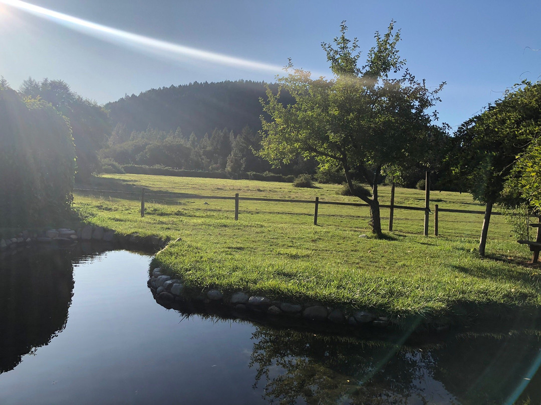 Out 'n' About Treehouse Treesort主图