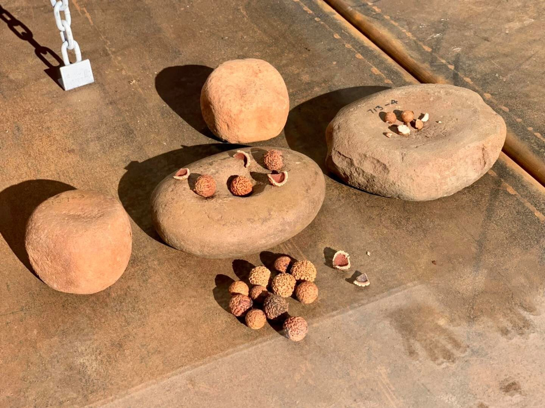 Yindyamarra-West Wyalong必去景点