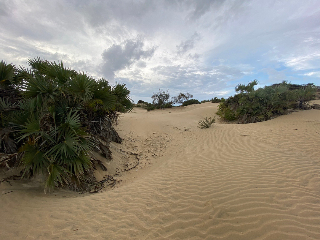 Shela Beach-Shela必去景点