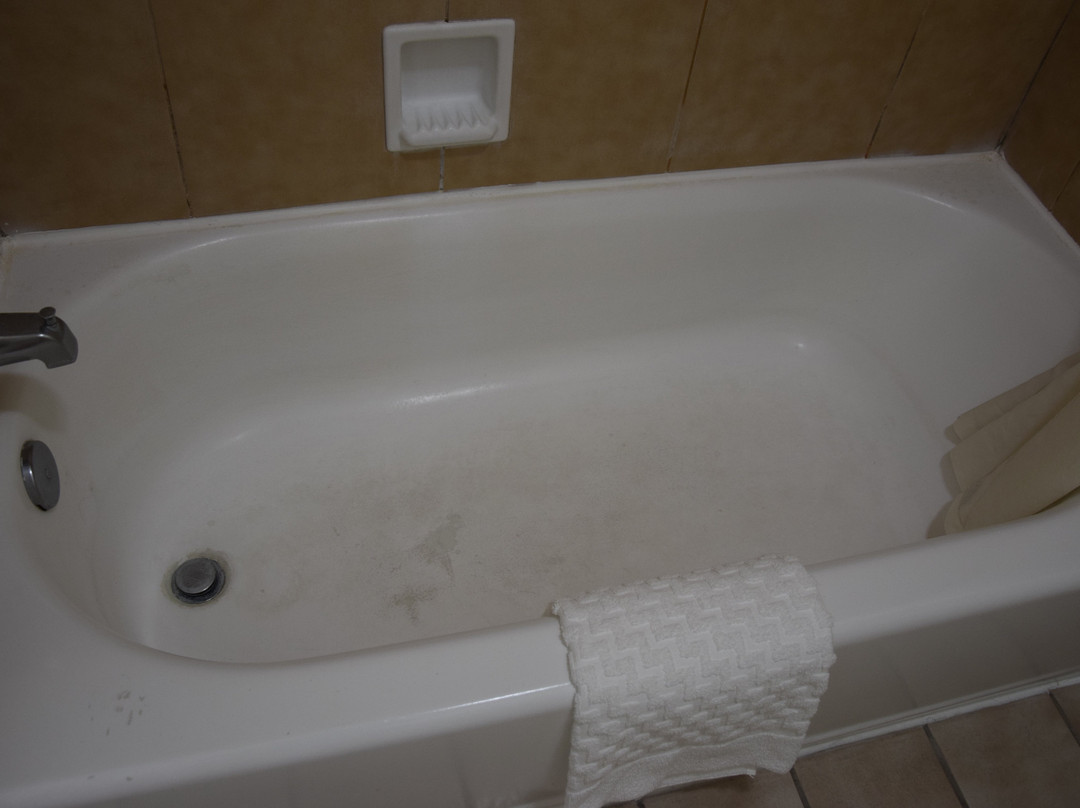 贝斯特韦斯特阿拉莫萨酒店主图