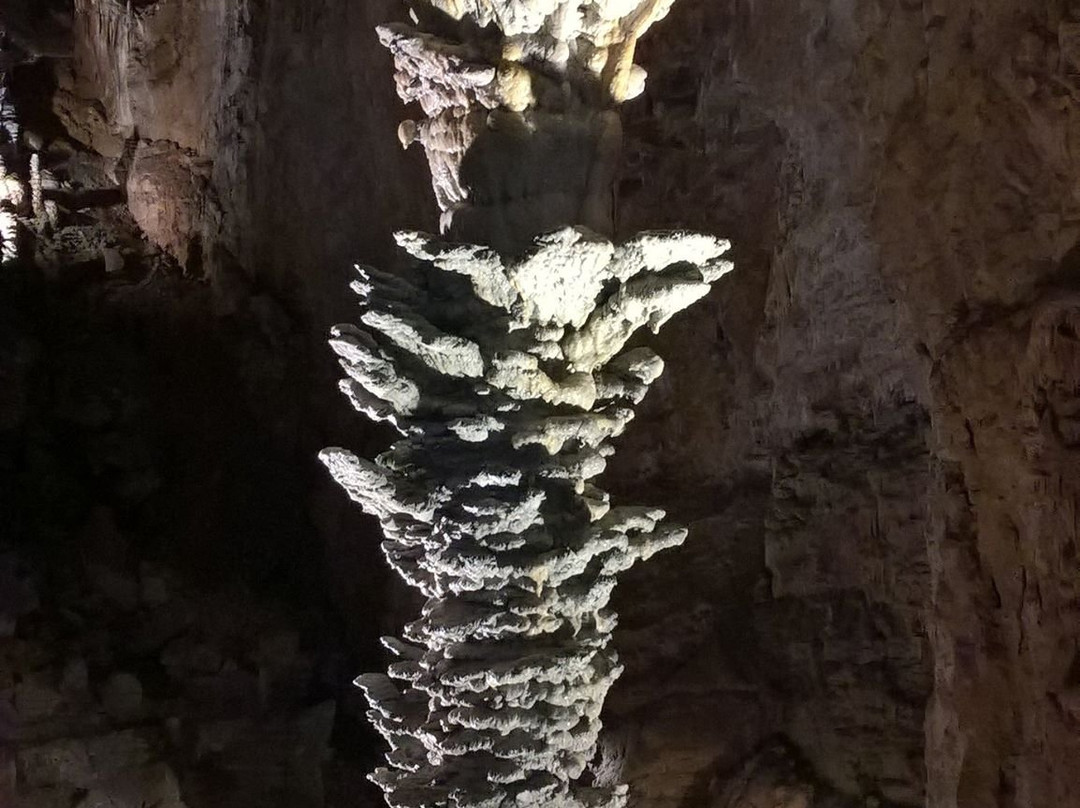 Grotta Gigante景点图片