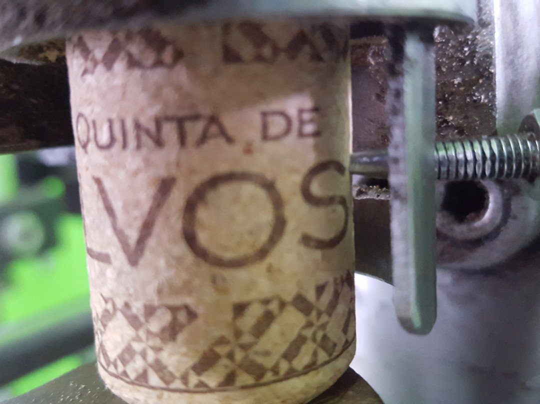 Quinta de Silvoso景点图片