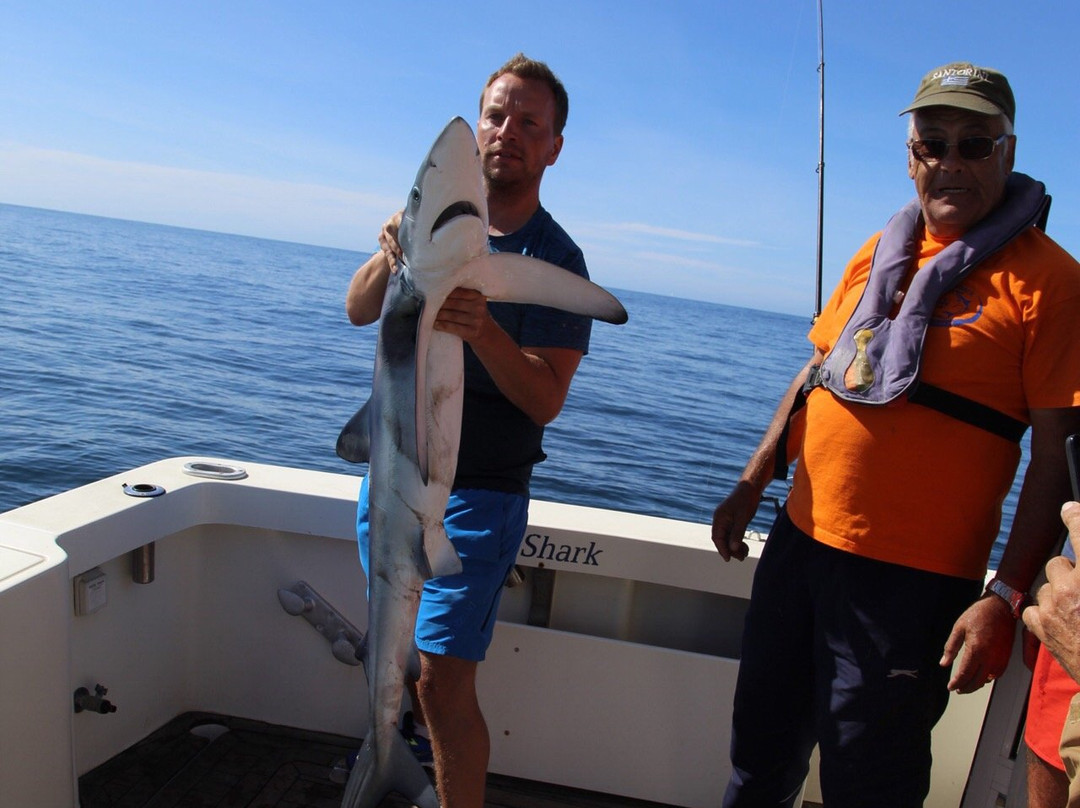 Blue Shark Big Game Fishing-拉各斯必去景点