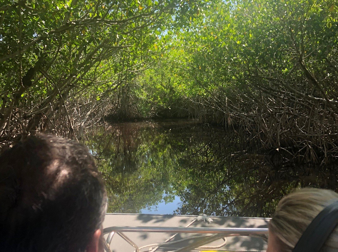 Everglades City Boardwalk-大沼泽地必去景点