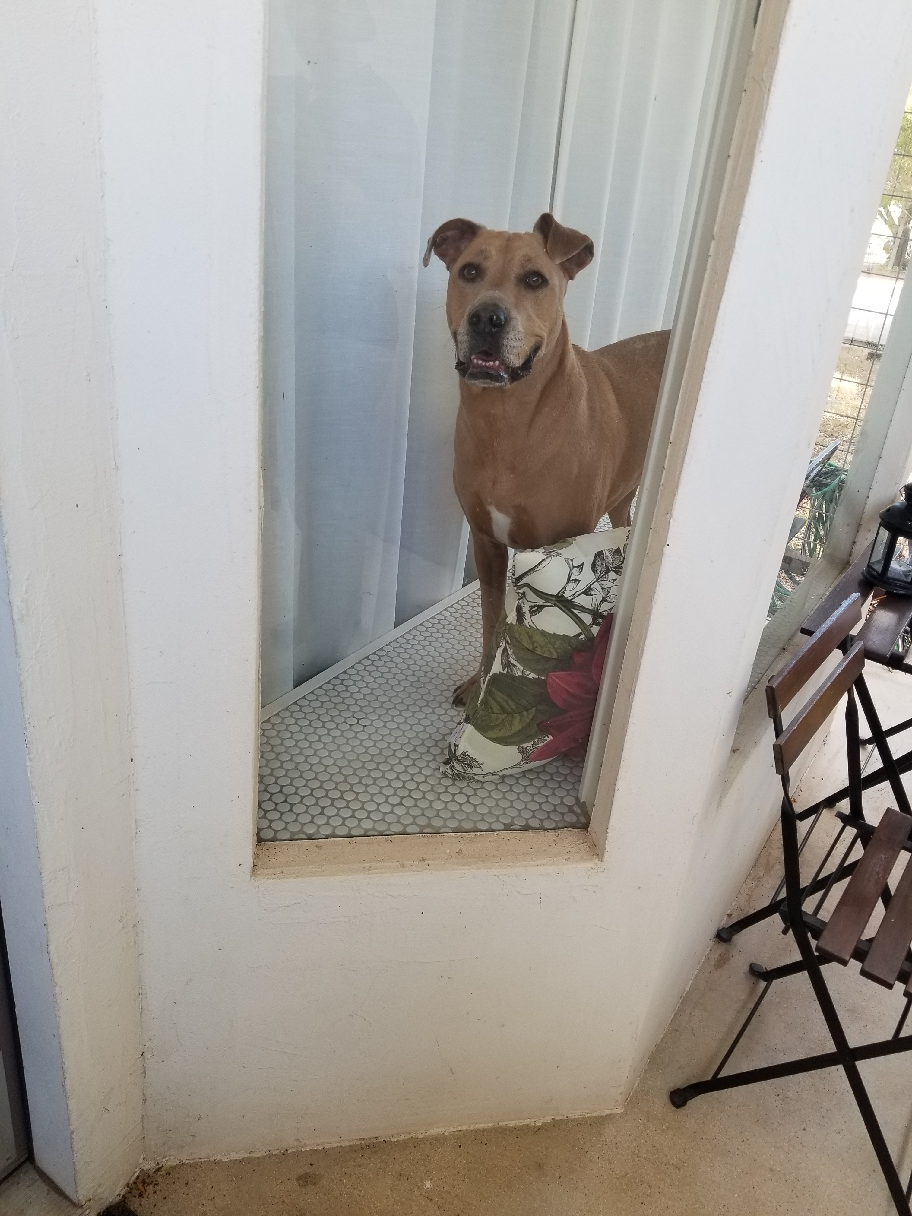 Hotel Flora And Fauna-官方