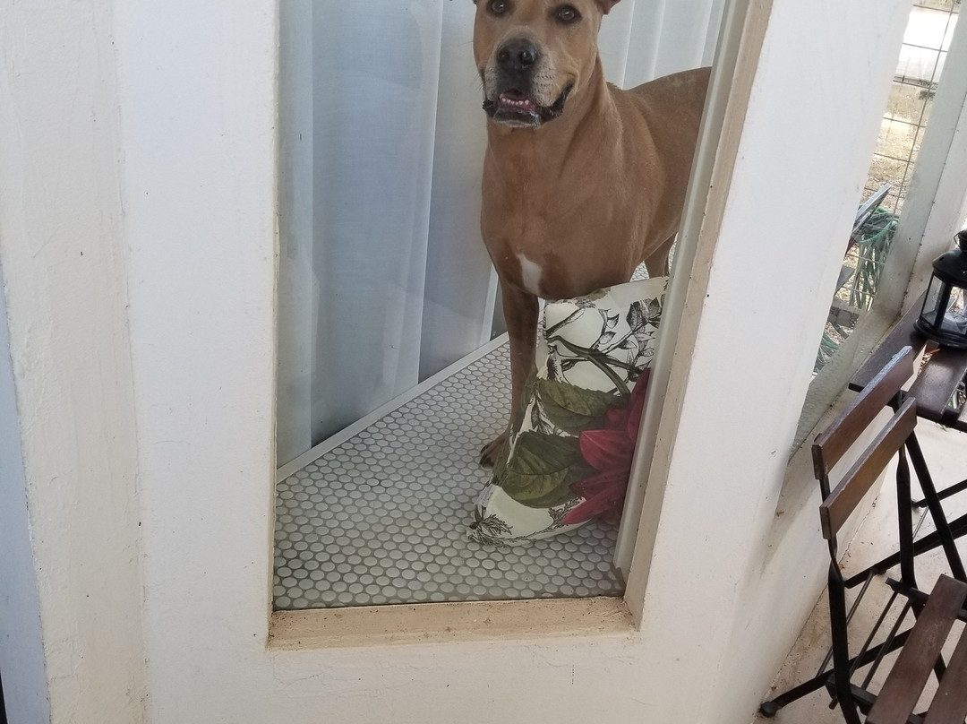 Hotel Flora And Fauna主图