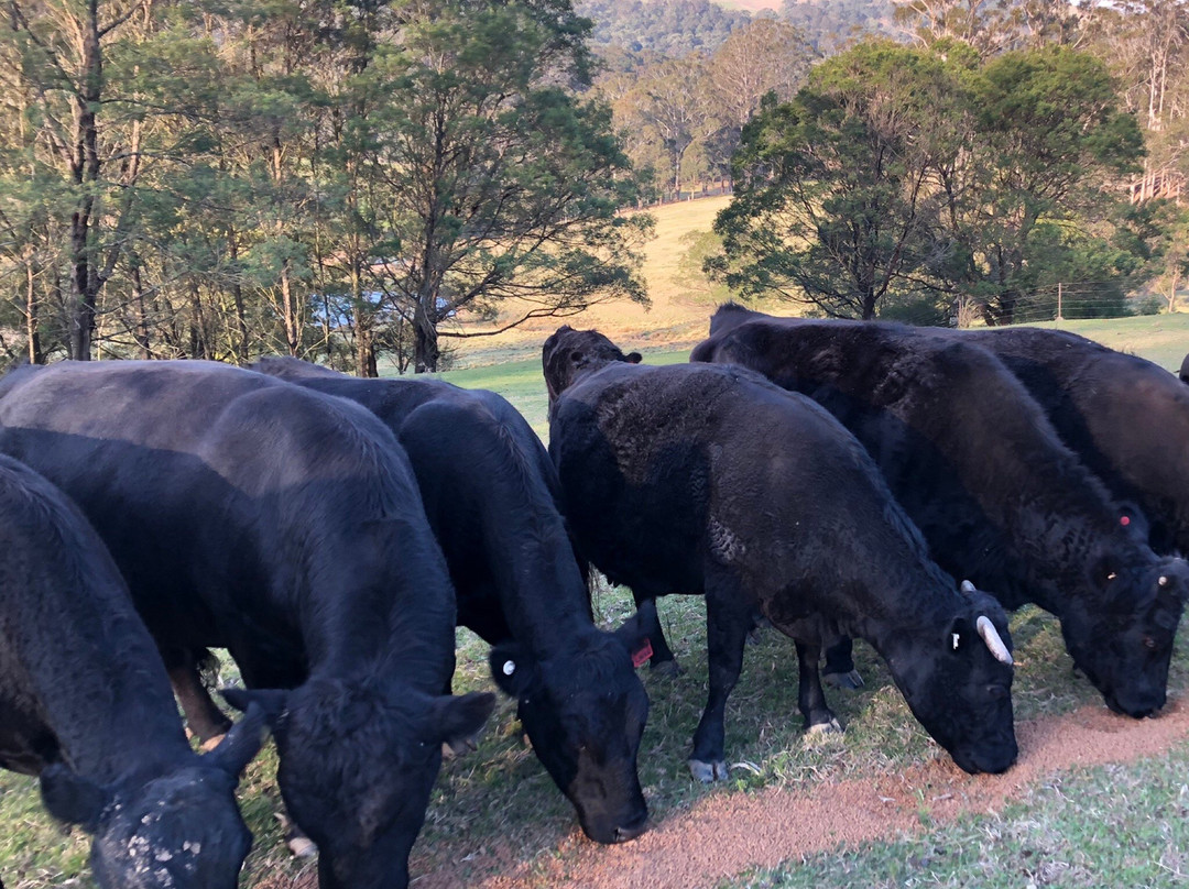 Exeter旅游攻略图片