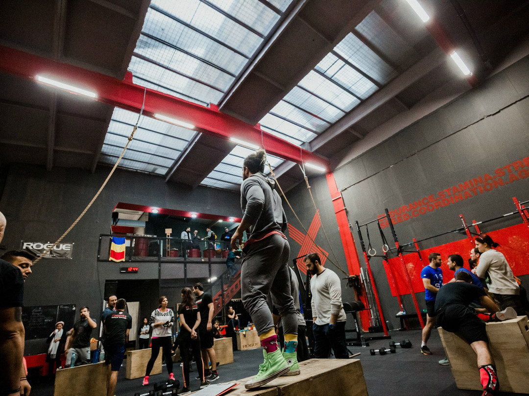 CrossFit Nord BVS-布加勒斯特必去景点