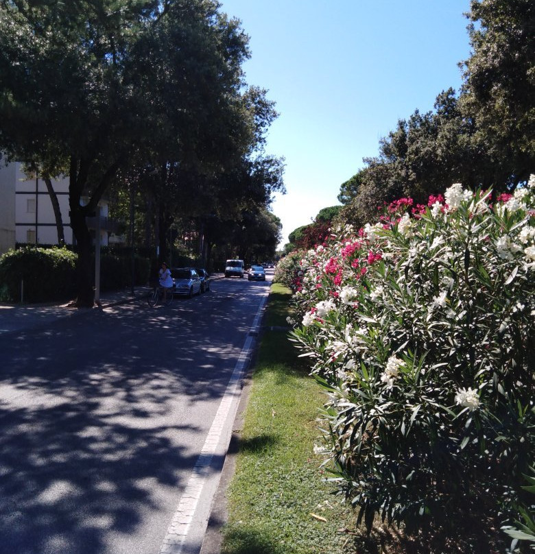 Hotel San Marco主图