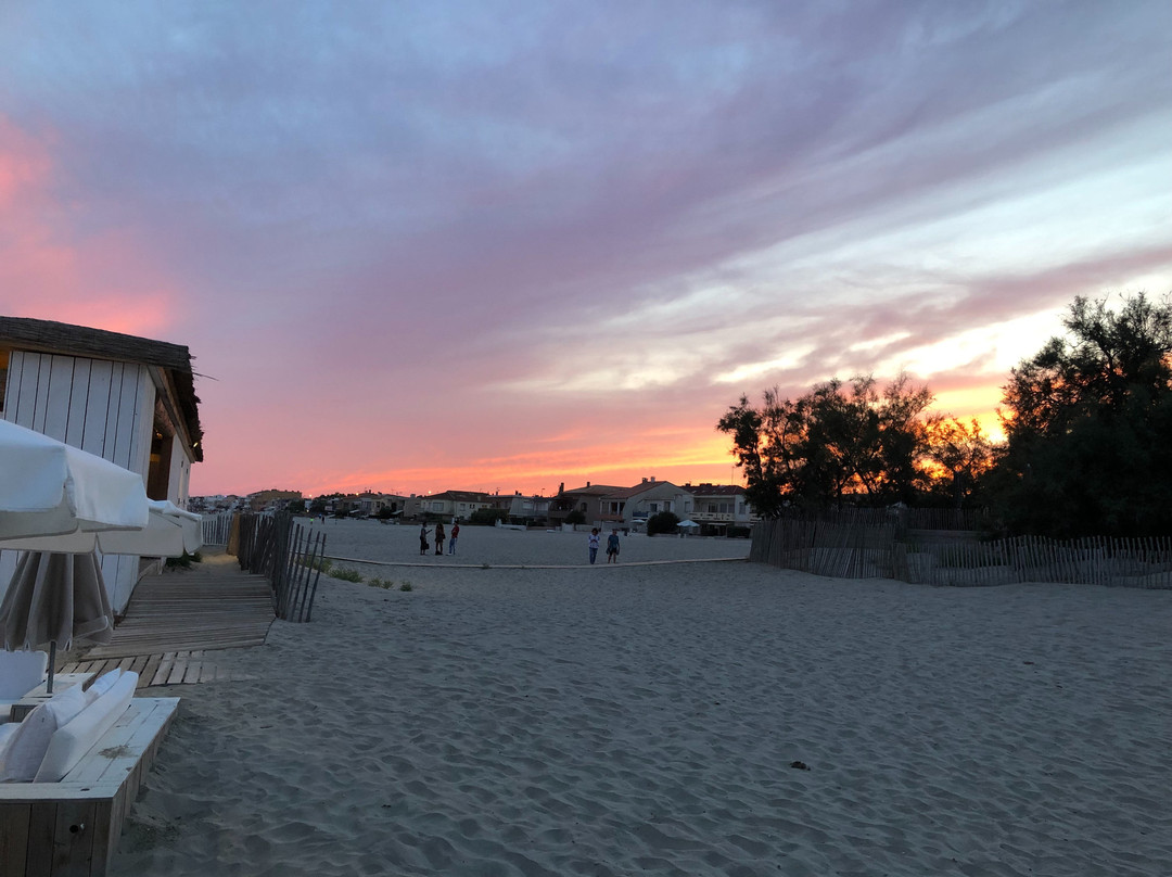 Plage Palace主图