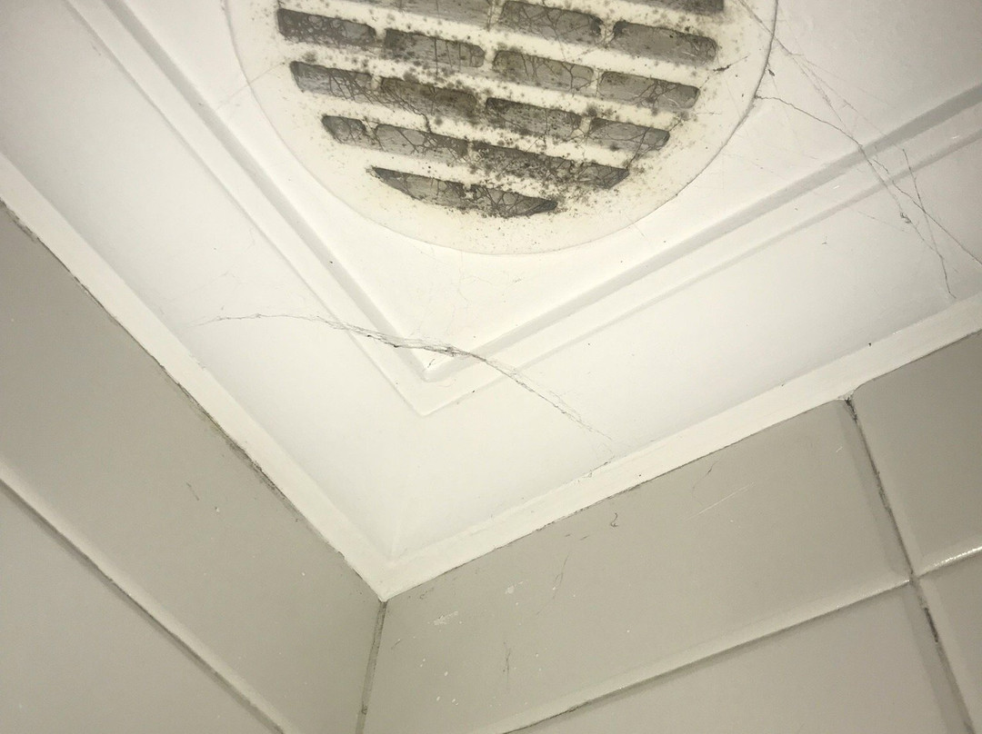 Arraigorri Landetxea主图