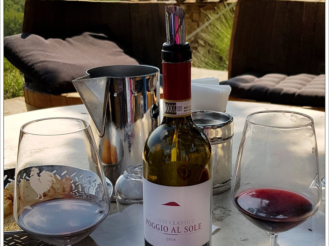 Poggio al Sole Winery景点图片