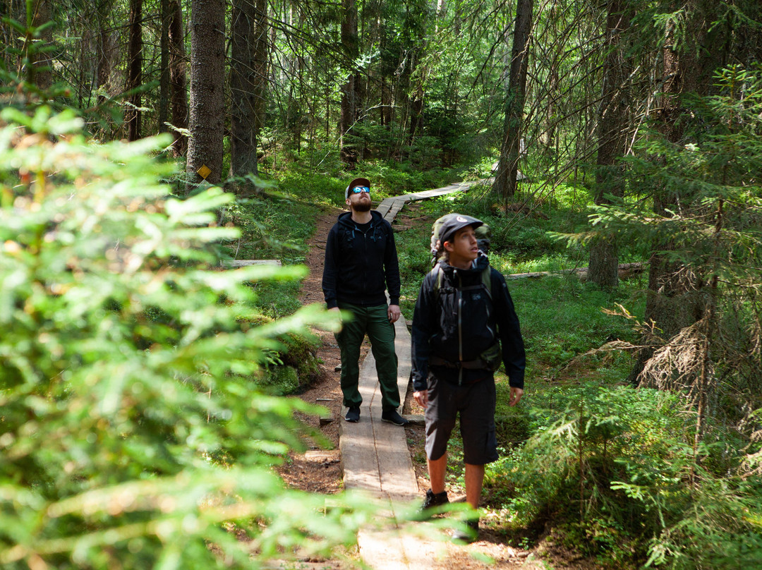 Taiga Times-赫尔辛基必去景点