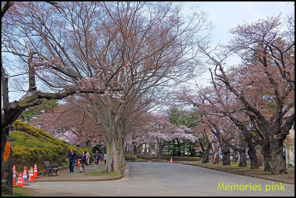 Mizusawa Park景点图片