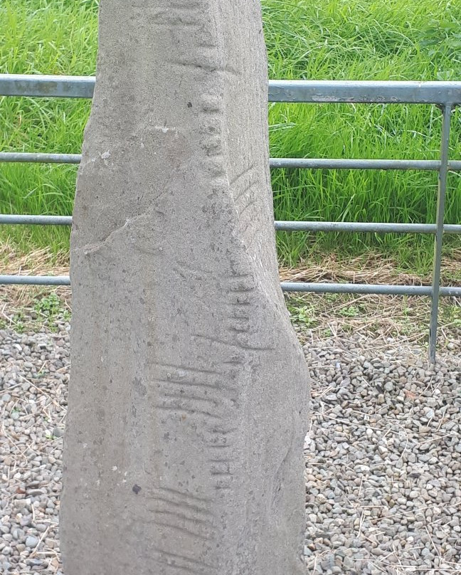Chute Hall Ogham Stones-特拉利必去景点