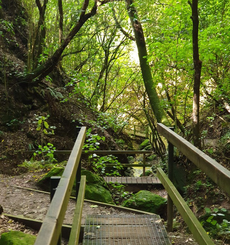 Manawatu Gorge Track景点图片