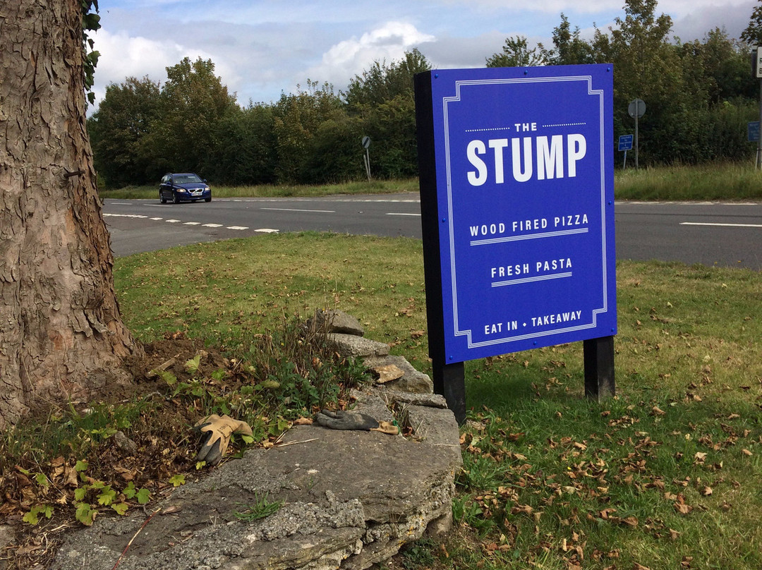 The Stump主图
