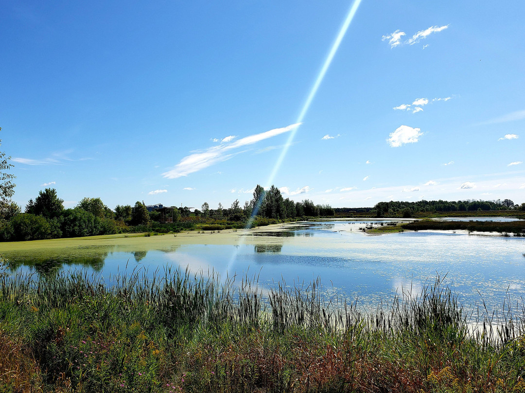 West Perth Wetlands景点图片