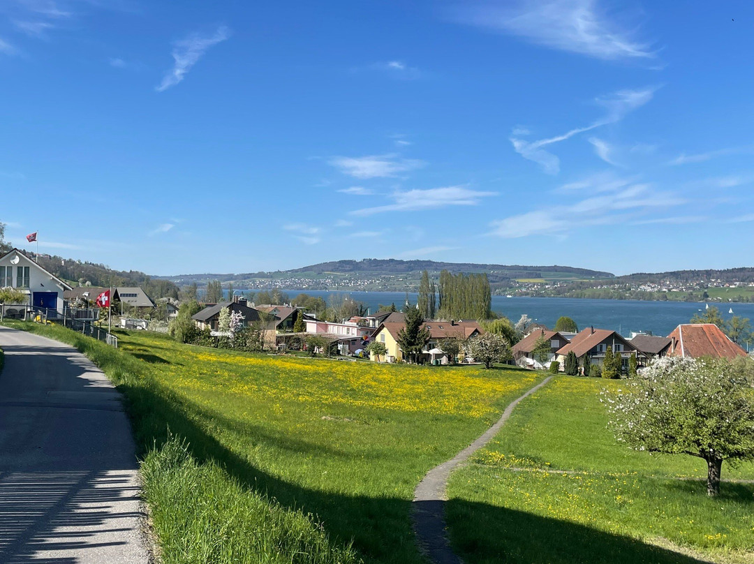 Agentenjagd Hallwilersee