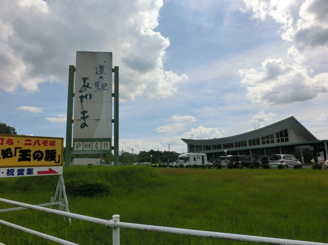 Roadside Station Ayama景点图片