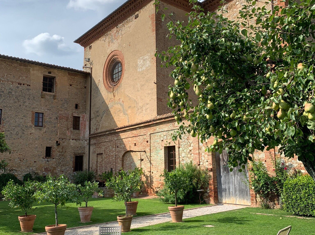 Monastero di Sant'Anna in Camprena景点图片