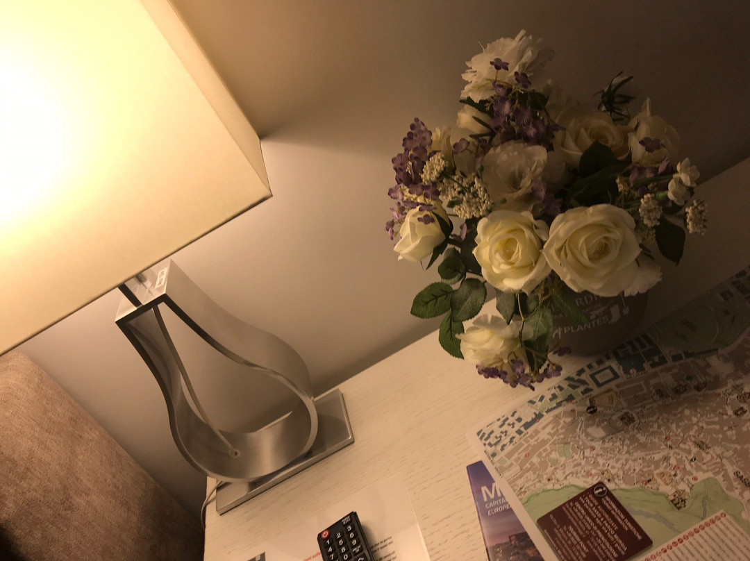 芙拉蒙缇旅馆