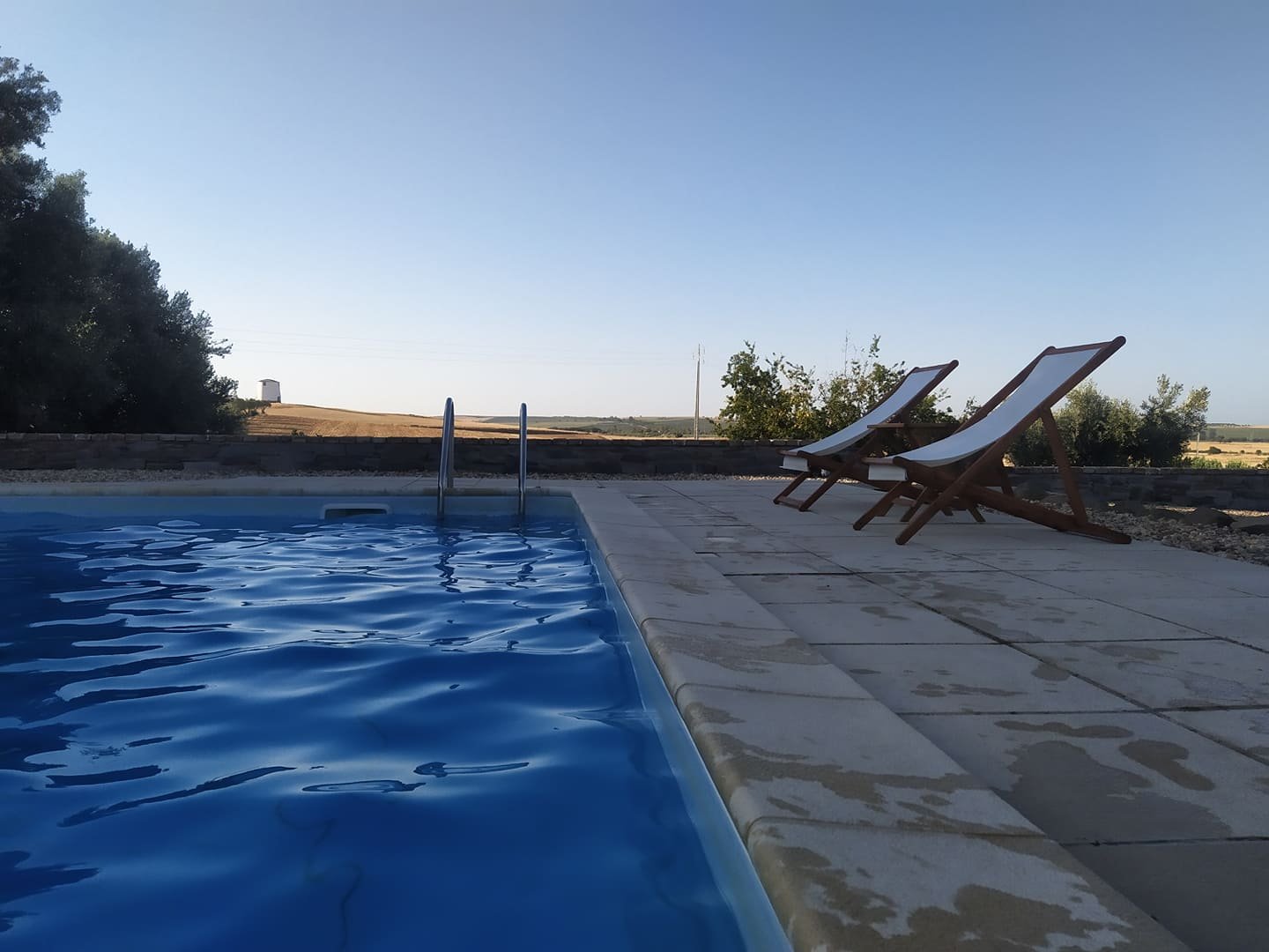 Monte da Floresta B&B-泳池