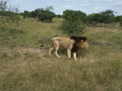 DreadLion Safaris-雾观必去景点