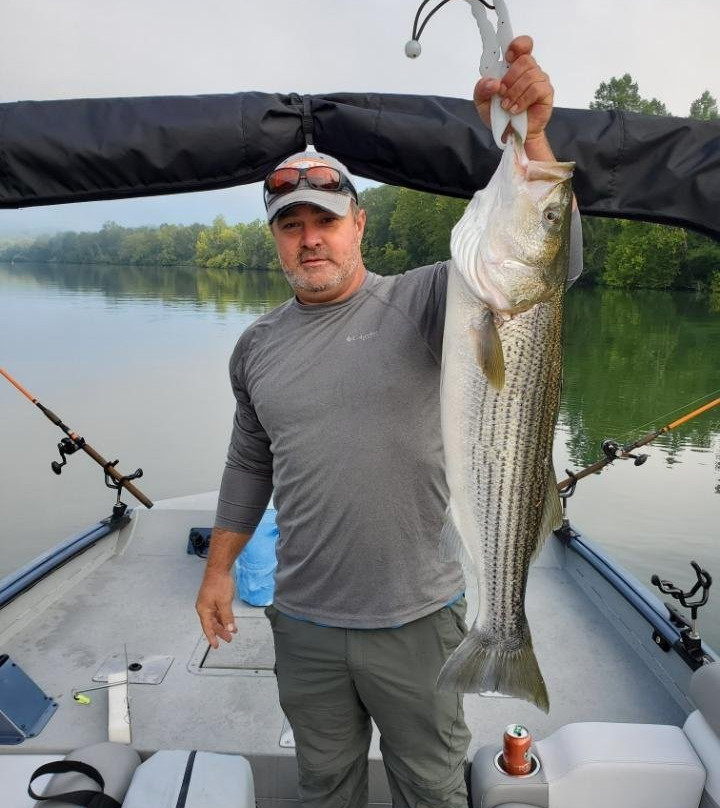 Tennessee River Monsters Fishing Guide Service - Striper, Catfish & Musky景点图片