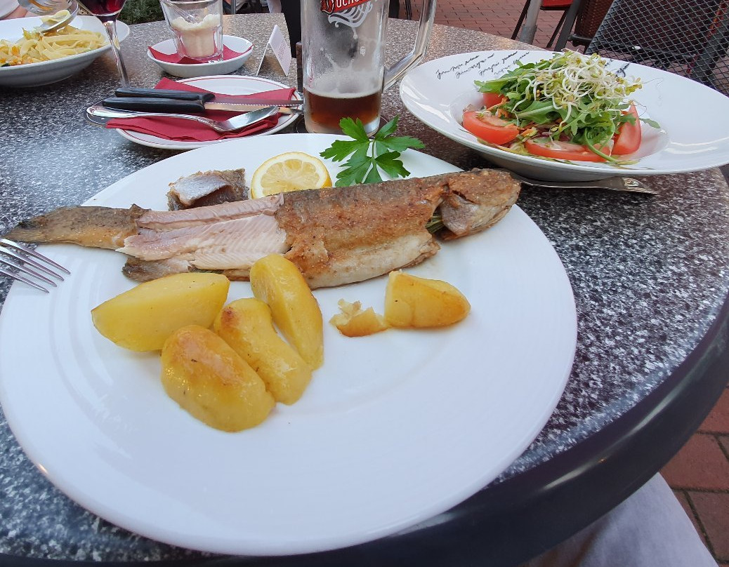 Altenmedingen餐馆和美食-La Stella