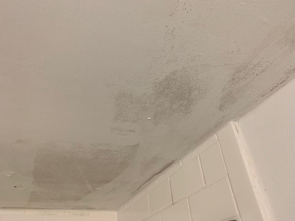 哈利法克斯福朋喜来登酒店主图