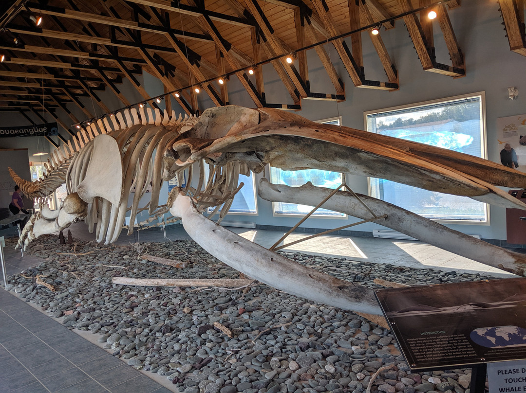 King's Point Whale Pavilion景点图片