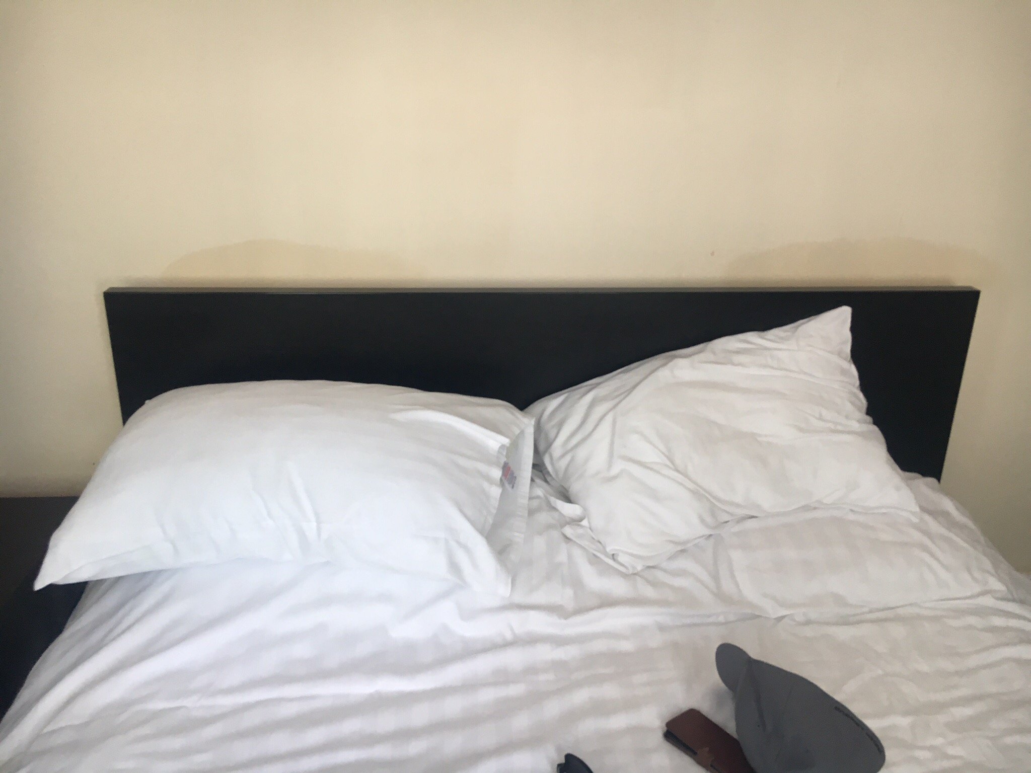 Teifi Waterside Hotel-官方