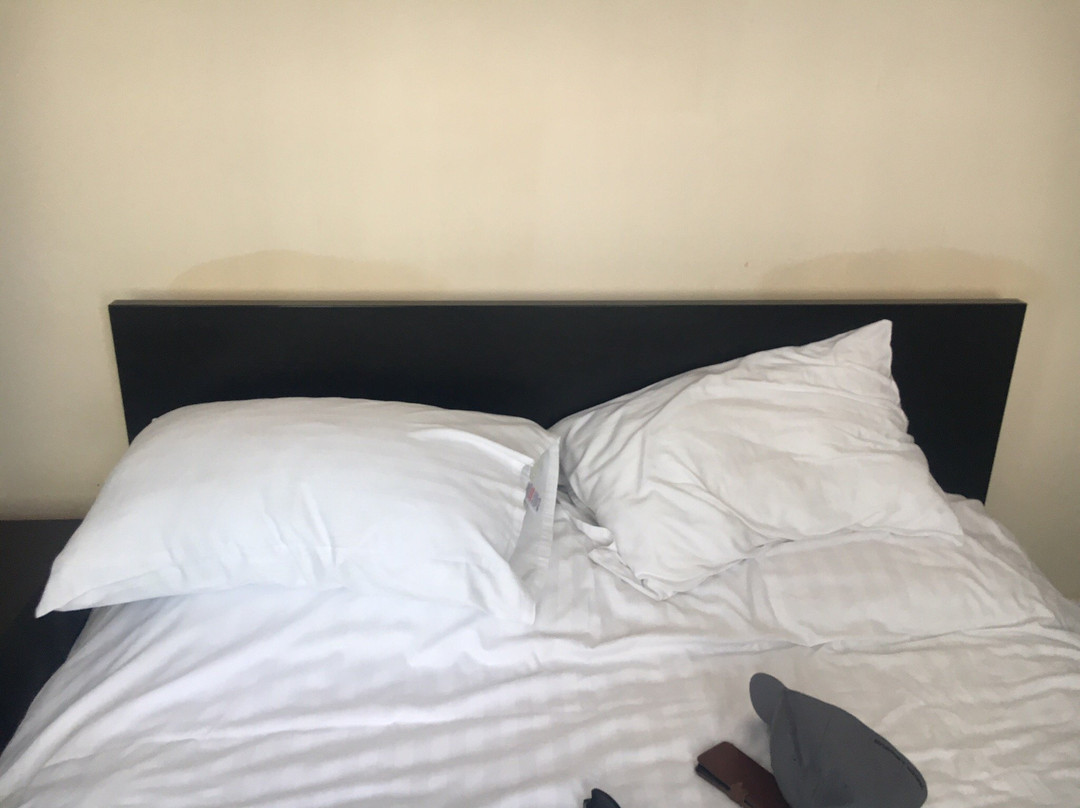 Teifi Waterside Hotel主图