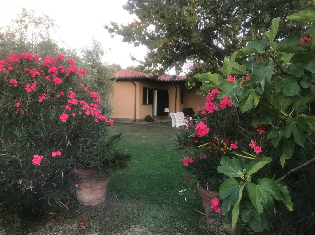 Il Giardino dell'Osa主图