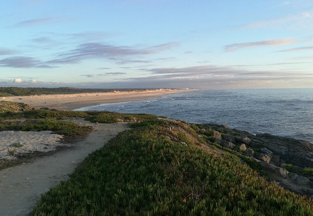 Beach Pedrogão景点图片