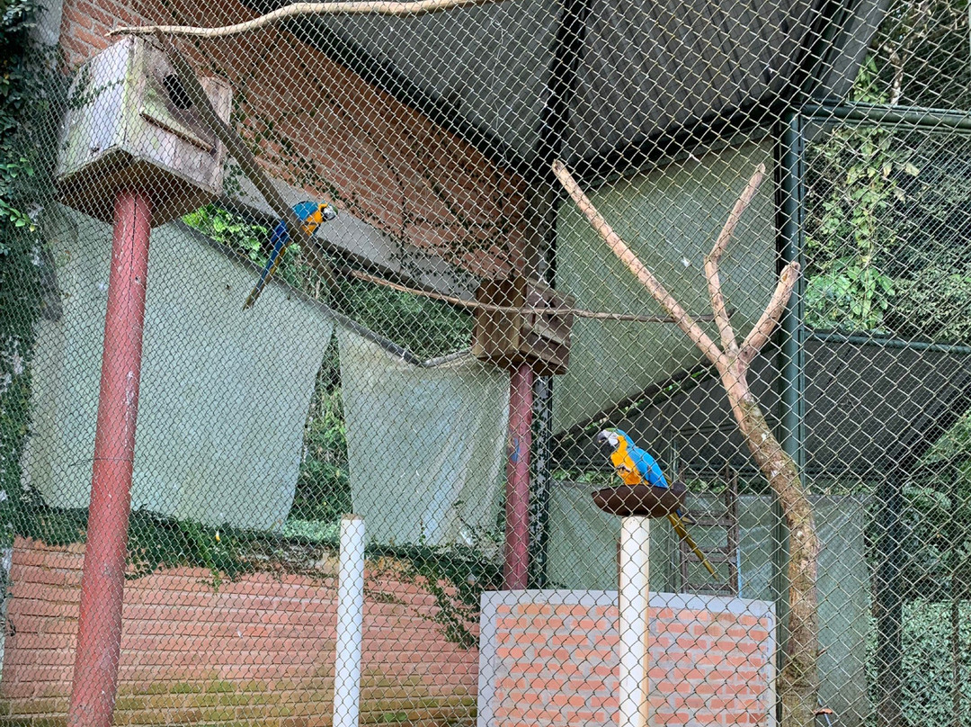 Parque Zoobôtanico景点图片