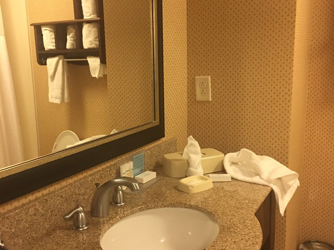 Hampton Inn & Suites Durham/north I-85主图