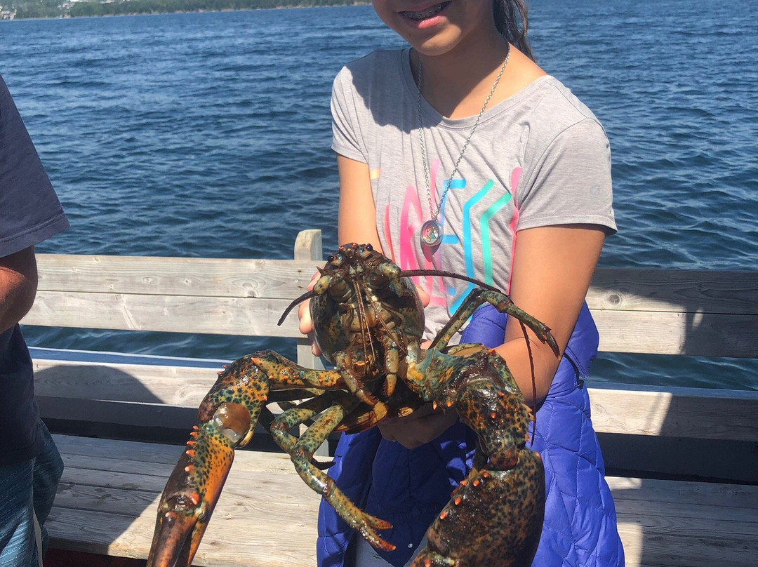 Cape Breton Lobster Adventure Tours景点图片